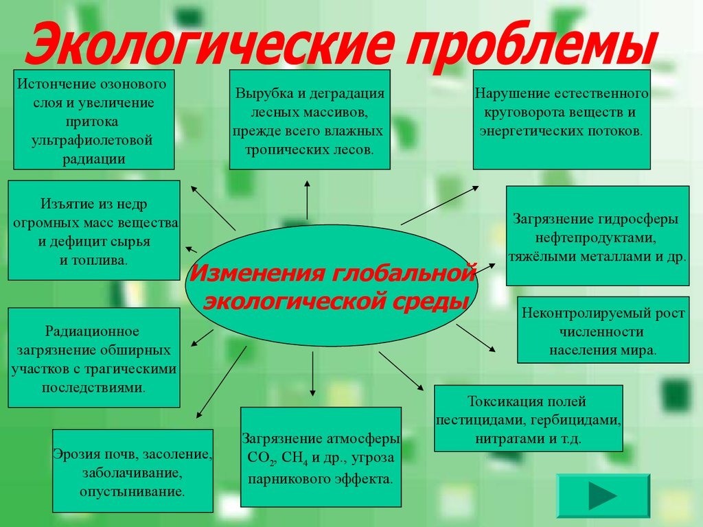 проекты по теме «Экологические проблемы природных зон России»..